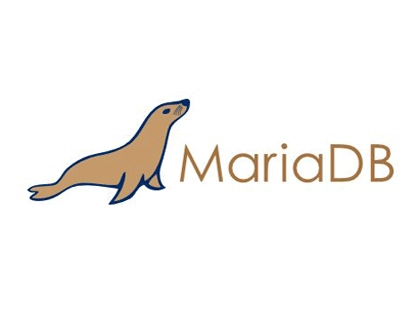 在Docker中部署Mariadb数据库的最佳实践（单节点）