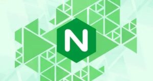Docker下Nginx最佳部署(单节点)-独行